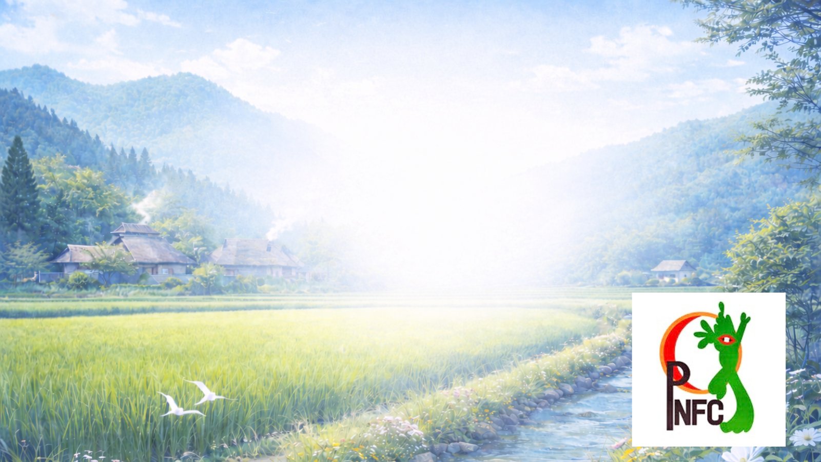 養生の全体像